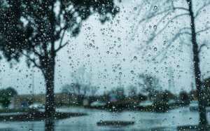 Ανακοίνωση Εμποροεπαγγελματικού Συλλόγου Κεφαλονιάς–Ιθάκης για τις πλημμύρες στην παραλιακή