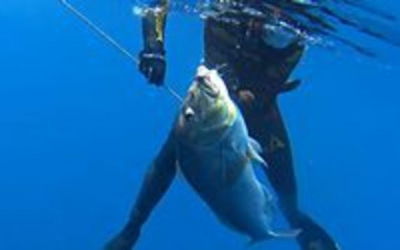 Νέο παγκόσμιο ρεκόρ! Ψαράς στη Ζάκυνθο έπιασε συναγρίδα 13 κιλών