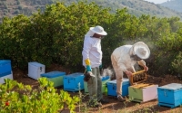 Συμμετοχή του Μελισσοκομικού Συνεταιρισμού Κεφαλονιάς και Ιθάκης στην έκθεση τροφίμων και ποτών 6η ΕΞΠΡΟΤΡΟΦ
