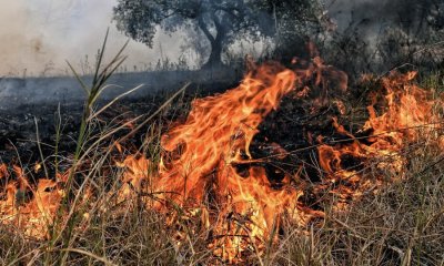 Πυροσβεστική Υπηρεσία: Απαγόρευση καύσης σε Κεφαλονιά και Ιθάκη από την Δευτέρα 15 Απριλίου