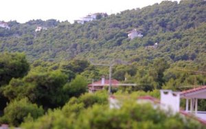 Δασικά αυθαίρετα: Πότε θα ανοίξει η πλατφόρμα για τη δήλωσή τους
