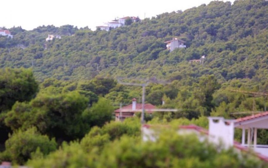 Δασικά αυθαίρετα: Πότε θα ανοίξει η πλατφόρμα για τη δήλωσή τους