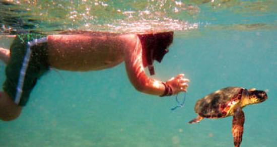 Μια CARETTA – CARETTA κολύμπησε συντροφιά με ένα 12χρονο αγόρι