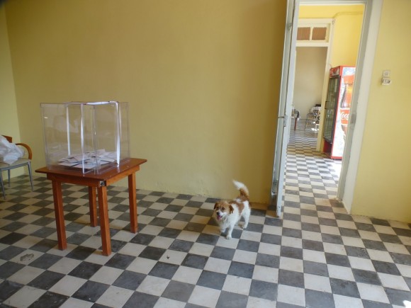 Δημοψήφισμα 2015 στα Δαμουλιανάτα : "Τίποτα δεν γίνεται χωρις τον Σαρκοζί"