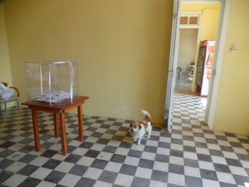 Δημοψήφισμα 2015 στα Δαμουλιανάτα : "Τίποτα δεν γίνεται χωρις τον Σαρκοζί"