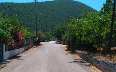 Έγινε η αποκομιδή των κλαδιών στα Πουλάτα