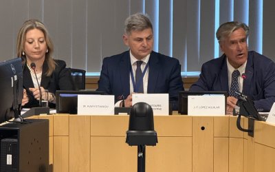 Καρυστιανού - Φαραντούρης στις Βρυξέλλες για άρθρο 86: Να προχωρήσουν οι διώξεις για ΤΕΜΠΗ και ΟΠΕΚΕΠΕ