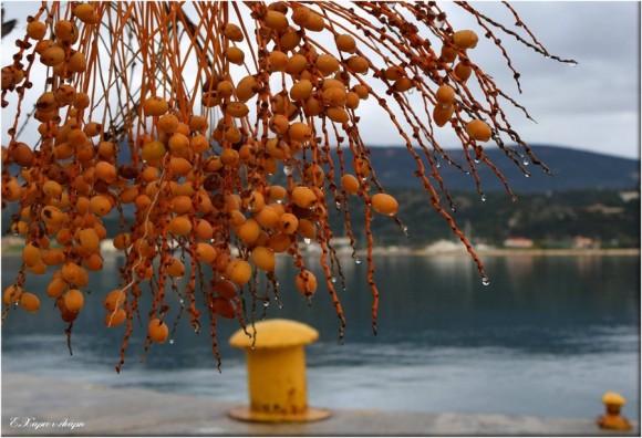 Φθινοπωρινά χρώματα & εικόνες με άρωμα Κεφαλονιάς