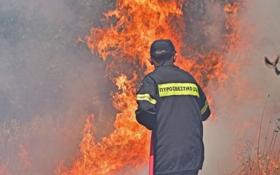 Μικρής έκτασης πυρκαγιά στην Θηνιά