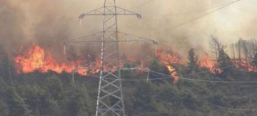 Καίγεται η Κύπρος -Δύο νεκροί πυροσβέστες στην καταστροφική πυρκαγιά