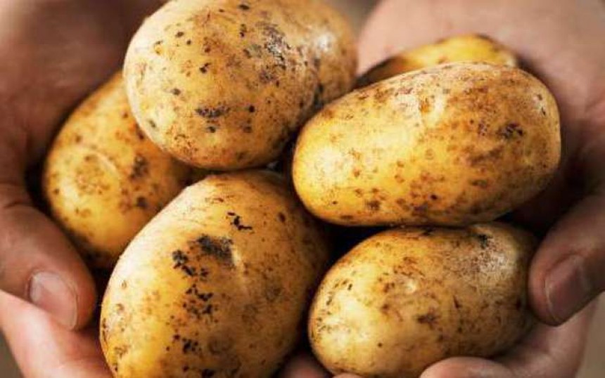Πότε οι πατάτες μπορεί να προκαλέσουν δηλητηρίαση;