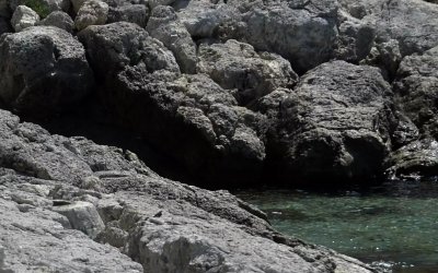 Κέρκυρα: Αναγνωρίστηκε ο άντρας που βρέθηκε νεκρός στα βράχια παραλίας – Τα νέα στοιχεία