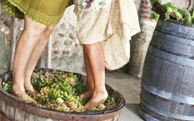 ΑΠΟΨΕ: Εκδήλωση αφιερωμένη στον Τρύγο από τον Π.Σ. Φάρο Ερίσου