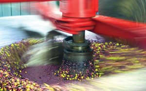 Ε.Α.Σ. : Άνοιξαν οι πόρτες στα Συνεταιριστικά λιοτρίβεια