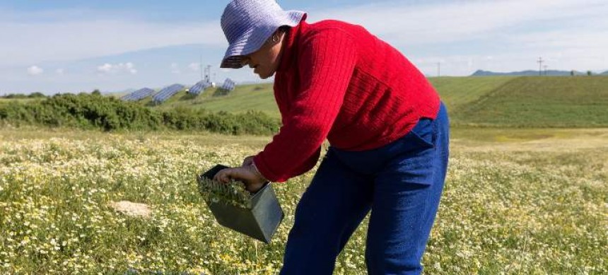 Χτύπημα για χιλιάδες αγρότες -Αύξηση 44% στις εισφορές περίθαλψης για τον ΟΓΑ