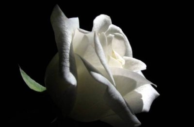 "Αντίο, αγαπημένε μας πατέρα..."