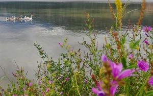 Οι δικές σας Κεφαλονίτικες φωτογραφίες στο Instagram - #inkefaloniagr