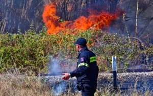 Κατεσβέσθη η πρωινή φωτιά στην περιοχή του Μακρύ Γιαλού