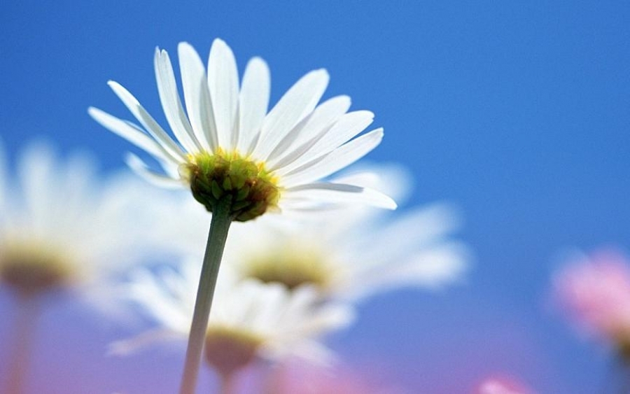 Η Οικογένεια Φραγκισκάτου ευχαριστεί το Νοσοκομείο Κεφαλονιάς