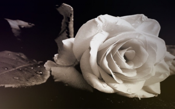 Συλληπητήριο μήνυμα απο την Διεύθυνση Δευτεροβάθμιας Εκπαίδευσης για την απώλεια της εκπαιδευτικού Ρούλας Γαλιατσάτου