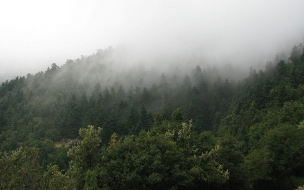 «NATURA»: Κεφαλονιά και Ζάκυνθος κρατάνε τα δικά τους κέντρα