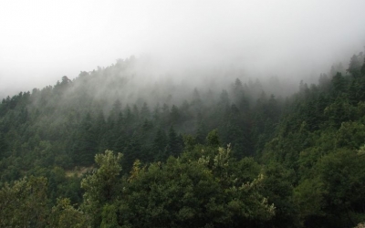 «NATURA»: Κεφαλονιά και Ζάκυνθος κρατάνε τα δικά τους κέντρα