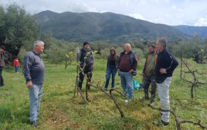 Πραγματοποιήθηκε επιμορφωτική Ημερίδα για την καλλιέργεια του Αμπελιού στη Σάμη