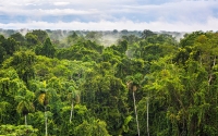 Ο Κεφαλονίτης Όνος για τις δαπάνες του Λιμενικού ταμείου : Αμαζόνιος..
