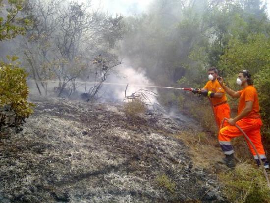 Ευχές για καλή χρονιά απο την Εθελοντική Ομάδα Δασοπροστασίας 21ας Λειβαθούς