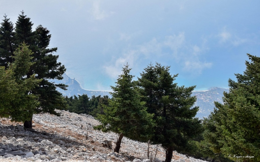 Παράταση απαγόρευσης κυκλοφορίας οχημάτων και εκδρομέων στον Αίνο