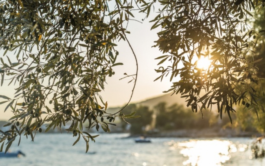 Λιώσαμε - Ο Σεπτέμβριος του 2019 ήταν ο πιο ζεστός τα τελευταία 140 χρόνια