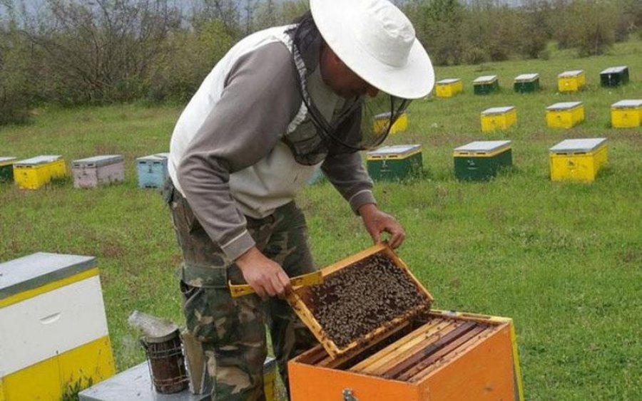 Ε.Α.Σ.: 50,5 εκατ. ευρώ σε νέους και παλιούς Μελισσοκόμους