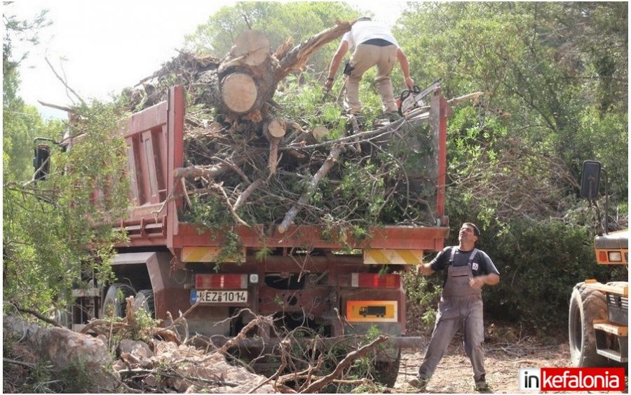 Επιτέλους! Ξεκίνησε η απομάκρυνση των ξερών πεύκων από το Αργοστόλι (εικόνες)