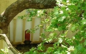 Γενική Συνέλευση & Εκλογές στον Π.Σ. Λουρδάτων "Πλάτανος"