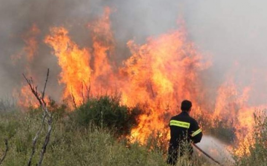 Ζάκυνθος: Μεγάλη πυρκαγιά στο χωριό Καλαμάκι