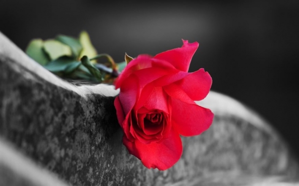 «Έφυγε» η Νέλλυ Κοντοδήμου του White Rocks