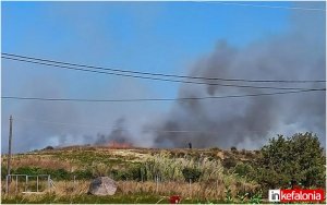 Υπό μερικό έλεγχο η φωτιά στην Κουνόπετρα (εικόνες)