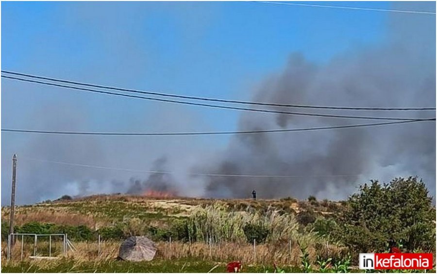 Υπό μερικό έλεγχο η φωτιά στην Κουνόπετρα (εικόνες)