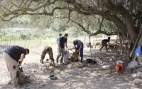 Κούρος στα Ζόλα, της Θηνιάς