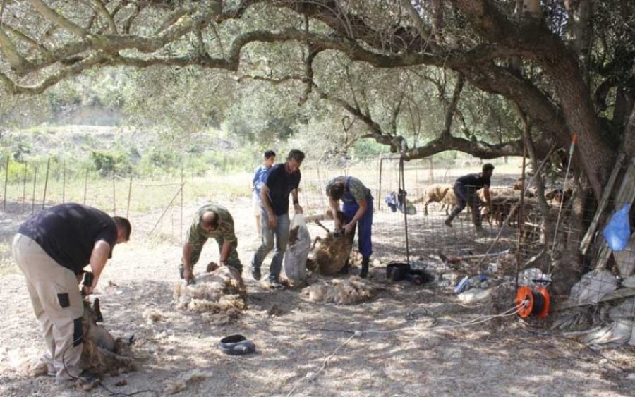 Κούρος στα Ζόλα, της Θηνιάς
