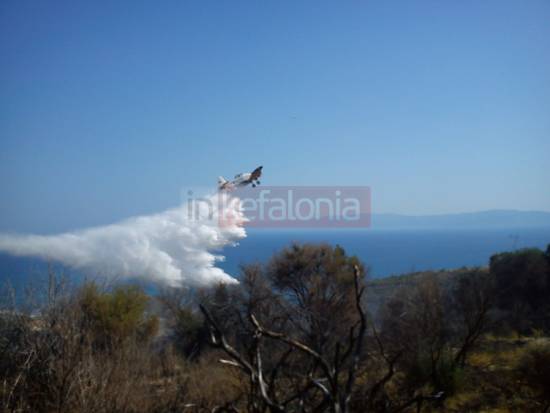 Η φωτογραφία είναι αρχείου 