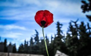 Ο Σύλλογος Ναυτικών “Νίκος Καββαδίας” συμμετέχει στις εκδηλώσεις για την Εργατική Πρωτομαγιά