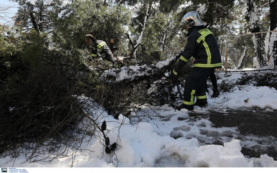 Τραγωδία στην Εύβοια: Και τέταρτο θύμα της κακοκαιρίας Μήδεια, 71χρονος καταπλακώθηκε από δέντρο