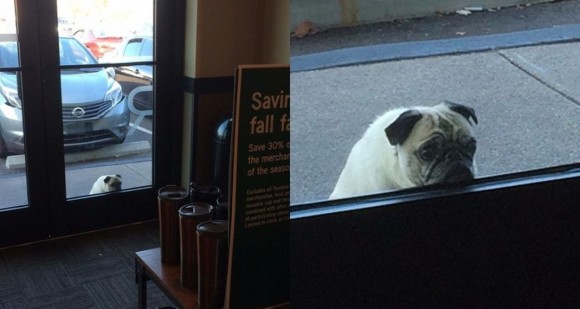 Η φωτογραφία με το παγκ έξω από καφέ που έγινε viral