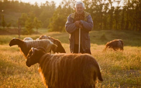 Ε.Α.Σ.: Ανακοίνωση στους Κτηνοτρόφους και Ερώτηση στους Αρμόδιους