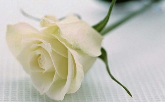 Συλλυπητήρια από την Χορωδία & Μαντολινάτα Αργοστολίου