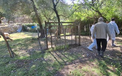 Εντατικοί έλεγχοι στην Ιθάκη για την πρόληψη της ευλογιάς αιγοπροβάτων