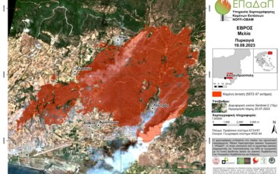 Καταστροφική η φωτιά στον Έβρο: Τα καμένα στρέμματα πιθανώς ξεπερνούν τα 75.000 - Καίγεται το δάσος της Δαδιάς