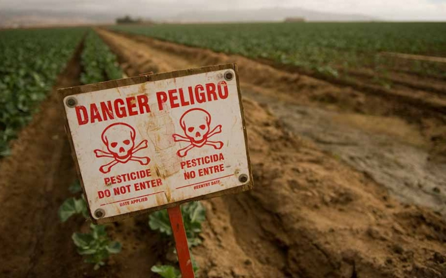 Ε.Α.Σ.: Αποσύρονται επικίνδυνα εντομοκτόνα