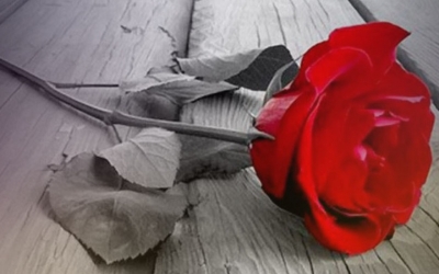 Συλλυπητήριες ανακοινώσεις για την απώλεια του Σπύρου Λυκιαρδόπουλου (ανανεωμένο)